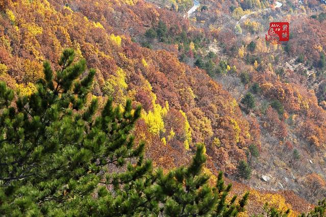 雾灵山生态旅游区