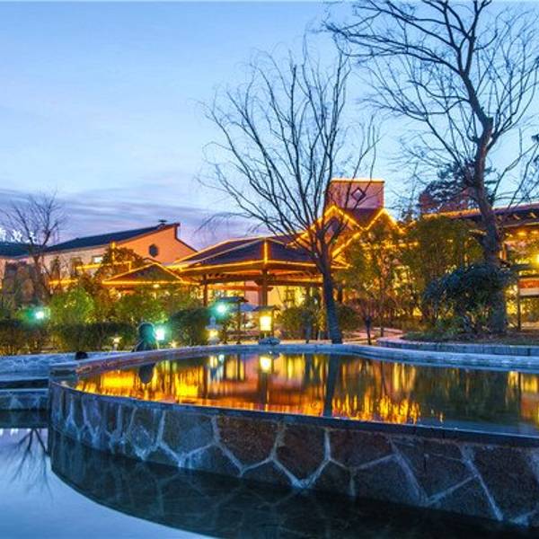 2018天悦湾温泉_旅游攻略_门票_地址_游记点评,岳西旅游景点,酒店