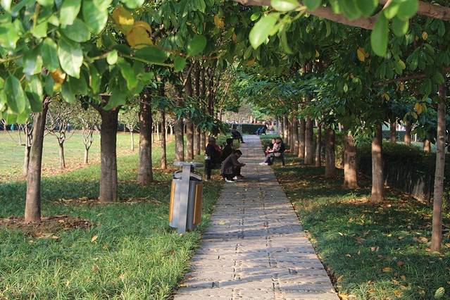 辛亥革命纪念园