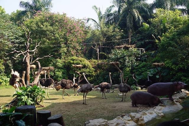 广州长隆度假区