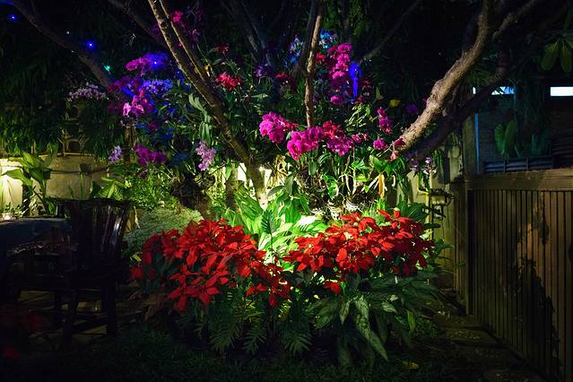 Dash! Restaurant and Bar