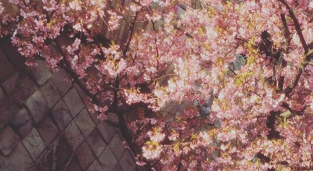 这么近,那么远,让我们在大阪碰面