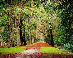 法兰西迷人秋色