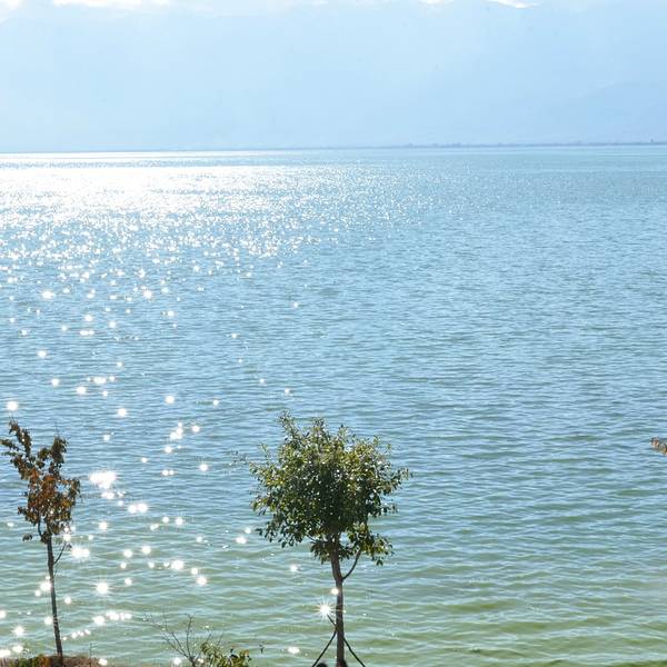 668881aab1a686b5.jpg_600x600x70_0300cd66.jpg