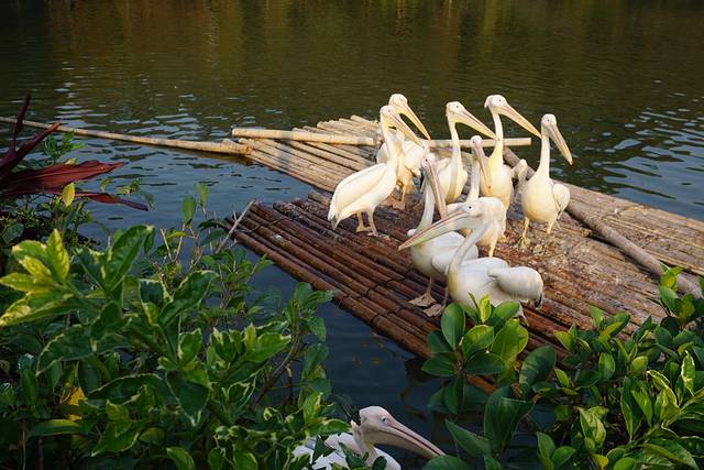 广州长隆度假区