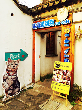 转角遇到猫旅游景点攻略图