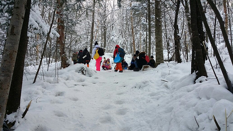 雪乡狗熊岭旅游景点攻略图