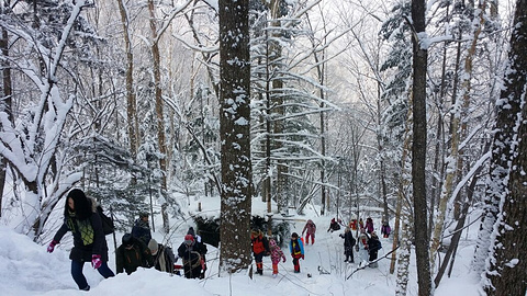 雪乡狗熊岭旅游景点攻略图
