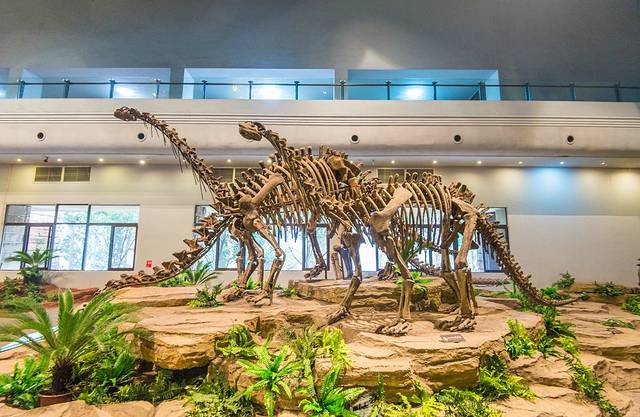 自贡恐龙博物馆