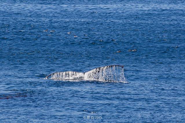 洛博斯角州立保护区