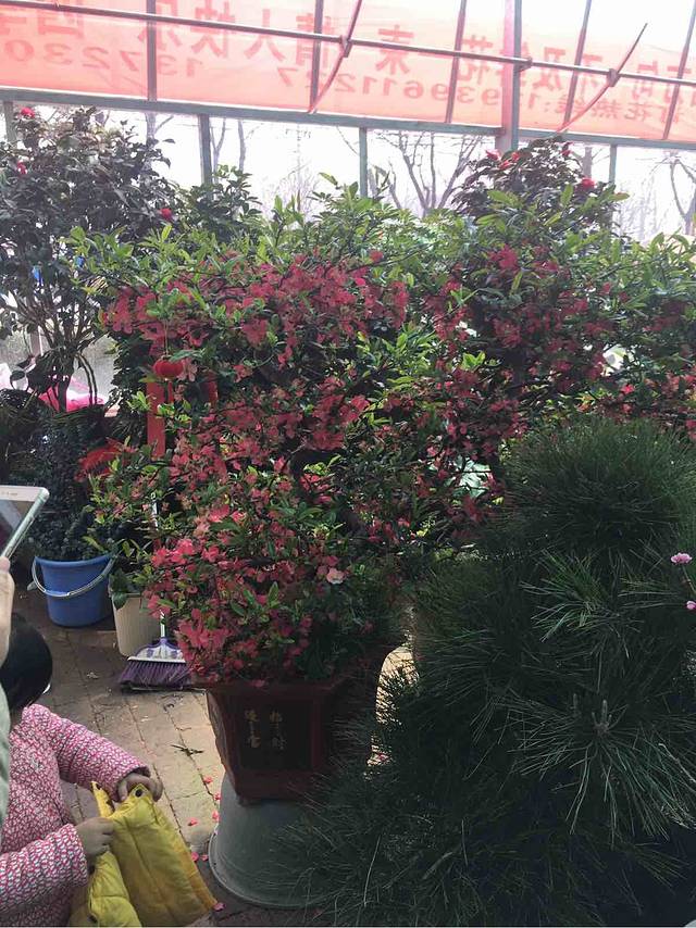 驻马店置地公园