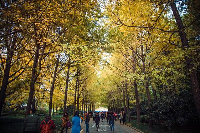 成都市人民公园