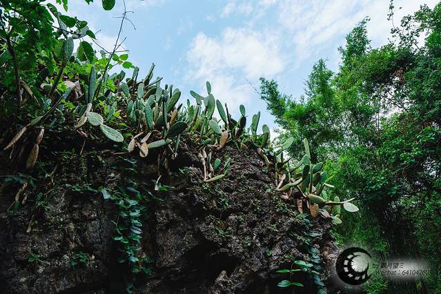 天星湖（高老庄）