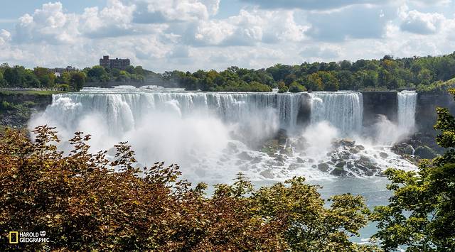 尼亚加拉河谷自然保护区