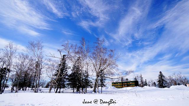 雪乡狗熊岭景区