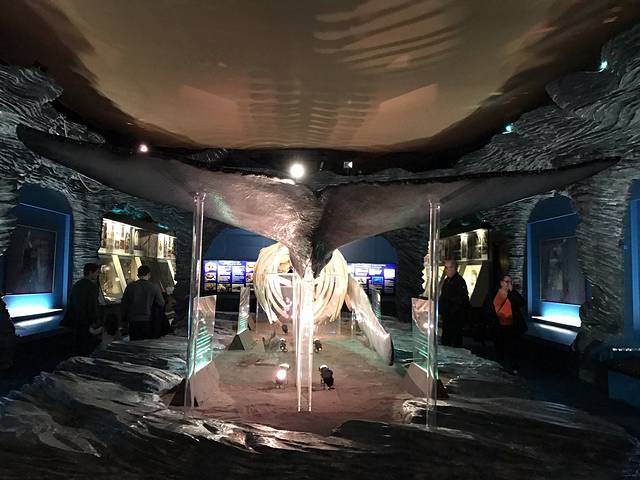 2024卡迪夫国家博物馆门票,Castle卡迪夫国家博物馆游玩攻略,卡迪夫国家博物馆游览攻略路线/地址/门票价格【去哪儿攻略】