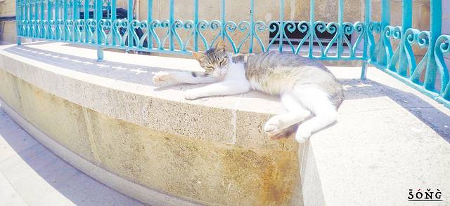 穆罕默德五世广场