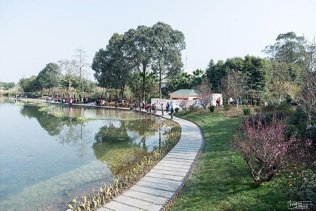 成都休闲二日游_成都旅游攻略