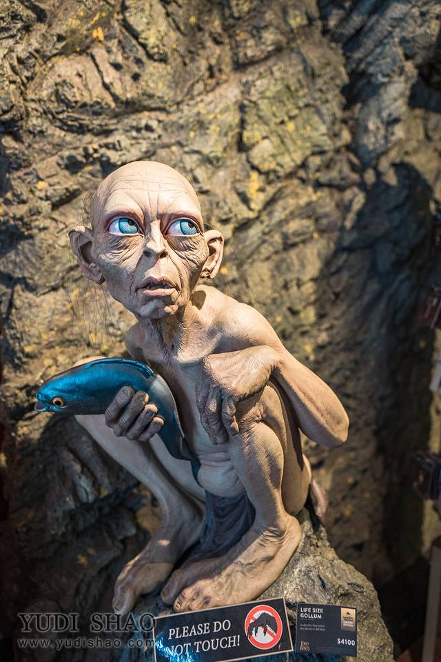 惠灵顿维塔工作室