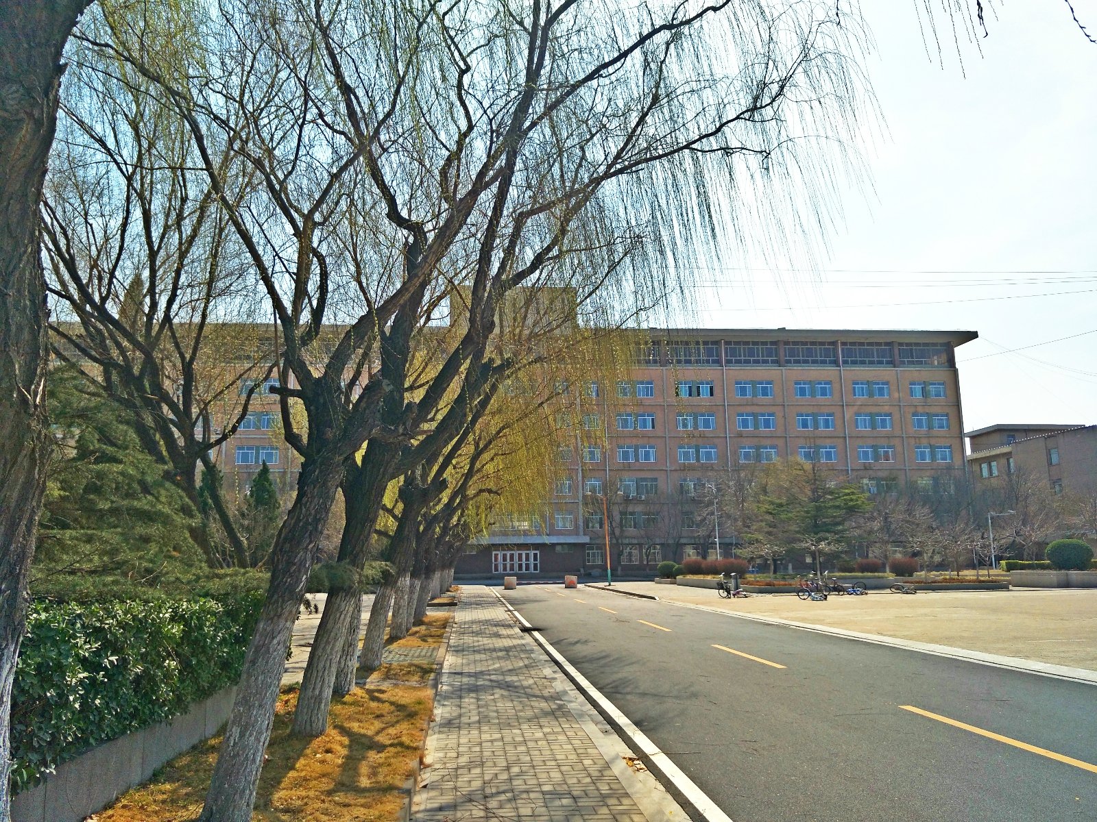 2020中国石油大学游玩攻略,.微微的春风飘荡起来,美极.【去哪儿攻略】