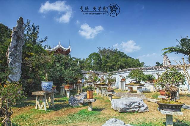 黄果树盆景园