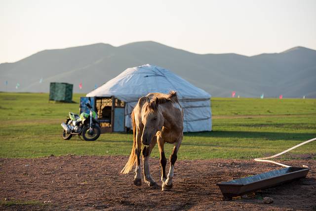 黑山头边城骑马场