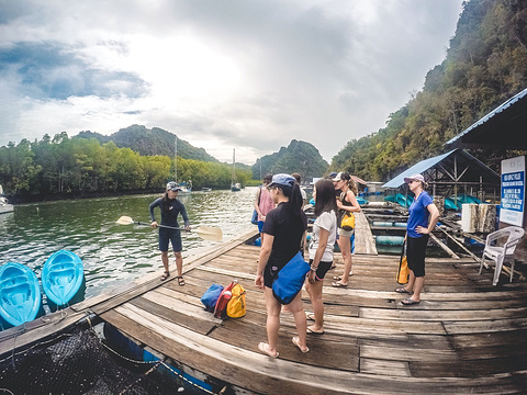 红树林旅游景点攻略图
