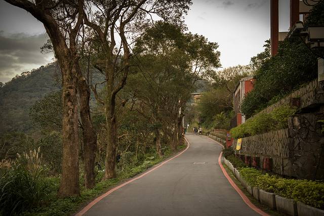 台北市铁观音包种茶研发推广中心