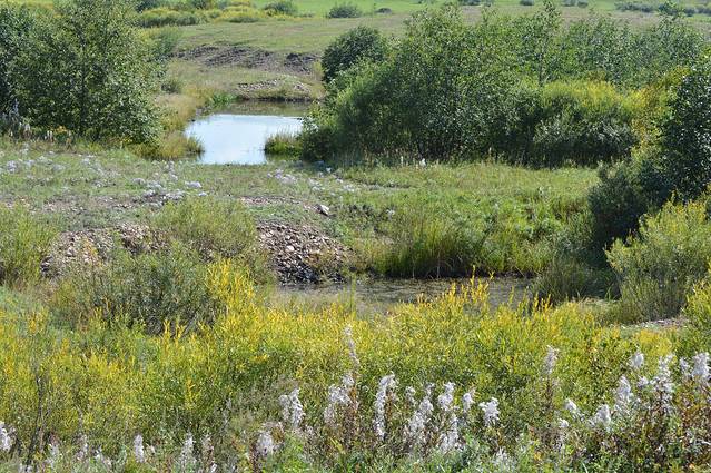 额尔古纳国家矿山公园