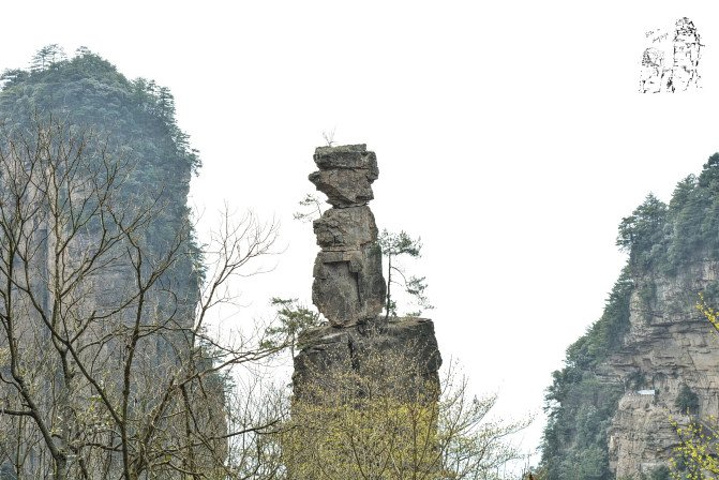 "天子山景区天子山是张家界最早开发出来的景点之一，天子山有着天下峰林“扩大的盆景，缩小的仙境”之称_张家界国家森林公园"的评论图片