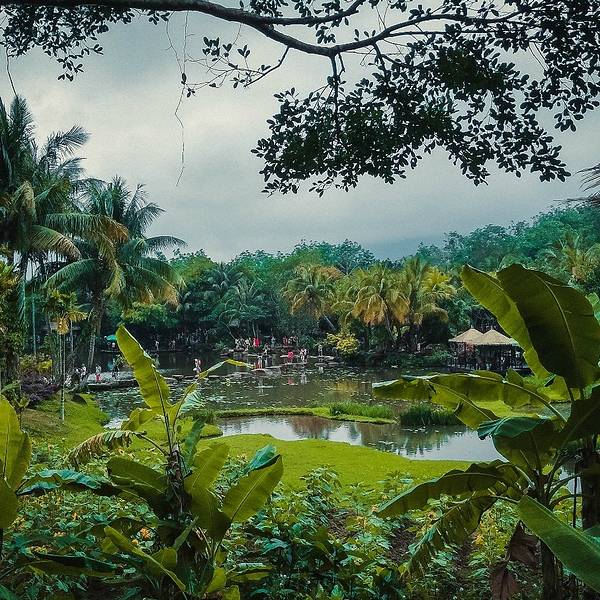 2019槟榔谷门票,三亚槟榔谷游玩攻略,槟榔谷游