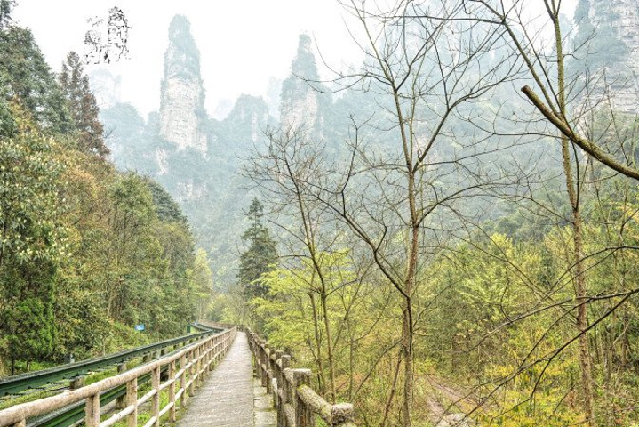 "天子山景区天子山是张家界最早开发出来的景点之一，天子山有着天下峰林“扩大的盆景，缩小的仙境”之称_张家界国家森林公园"的评论图片