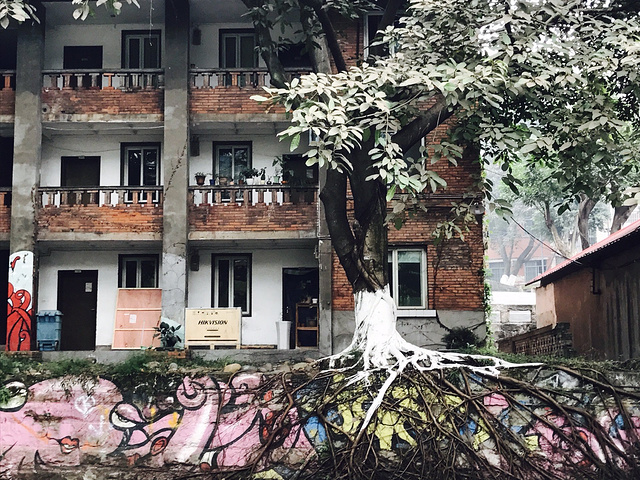 这边是川美的老校区相对于学校更像是创意园区非常酷校园里面也有很