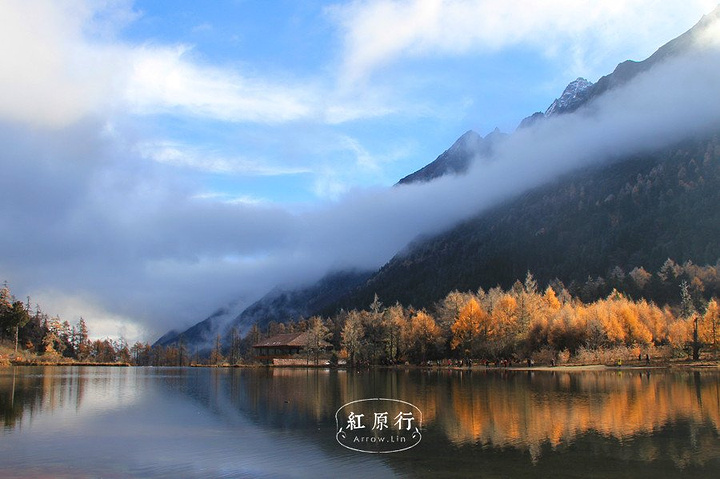 "植被茂密，我想这也是不容易高反的另一个原因吧，植被供氧，不知道把我的黑肺洗得多干净！你俩真是敲有爱的_毕棚沟"的评论图片