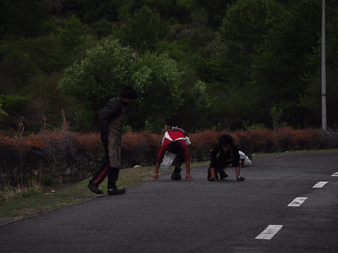 西藏林芝地区_林芝地区2017收入(2)