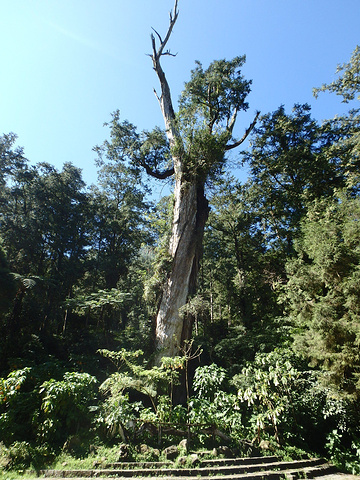 园区内有景点神木,大学池,红楼,银杏林,生态展示中心等景点,并有诸条
