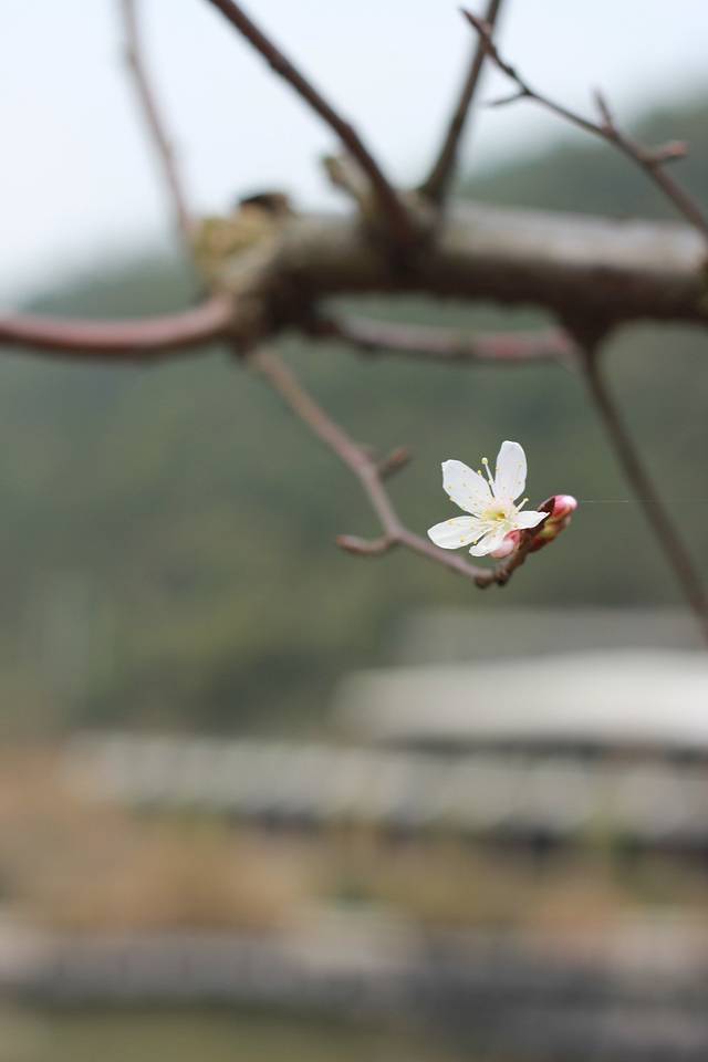 瀑布林温泉度假村