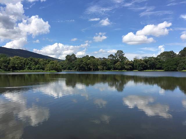 清迈大学静心湖