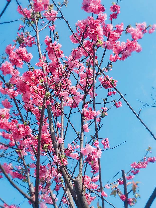 浔龙河生态艺术小镇