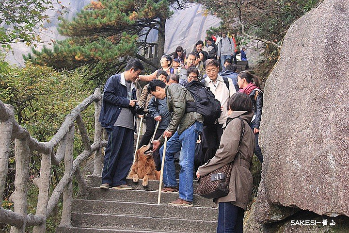 "站在百步云梯上欣赏黄山的夕阳，很美，较晚了，该往住处赶了。上下都很陡的台阶，狗狗不容易呀_百步云梯"的评论图片