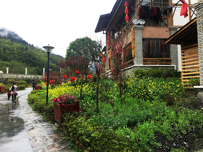 我受一盘野菜的诱惑进了沟图片 我受一盘野菜的诱惑进了沟图片