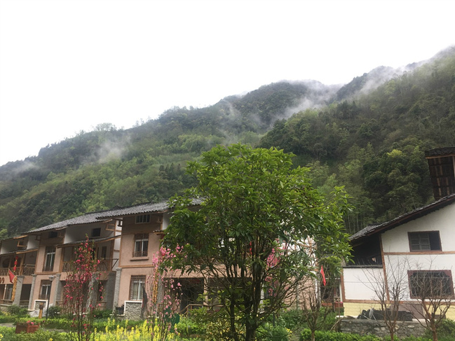 山村晨雾图片 山村晨雾图片