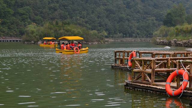 陕西黄陵国家森林公园