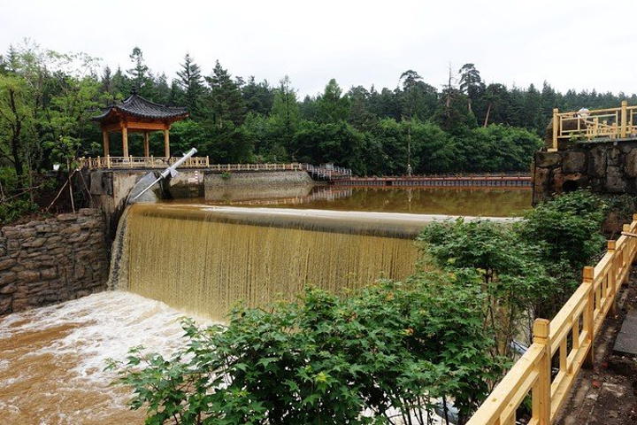 美人松苑"的评论图片