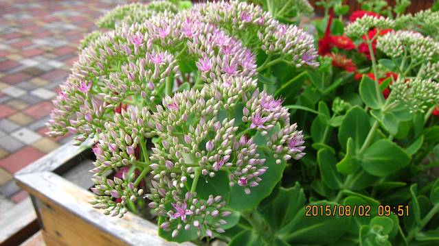 长春客运中心站