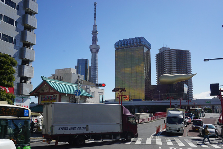 2023東京遊玩攻略,東京交通/住宿/行程/美食/購物攻略,東京注意事項