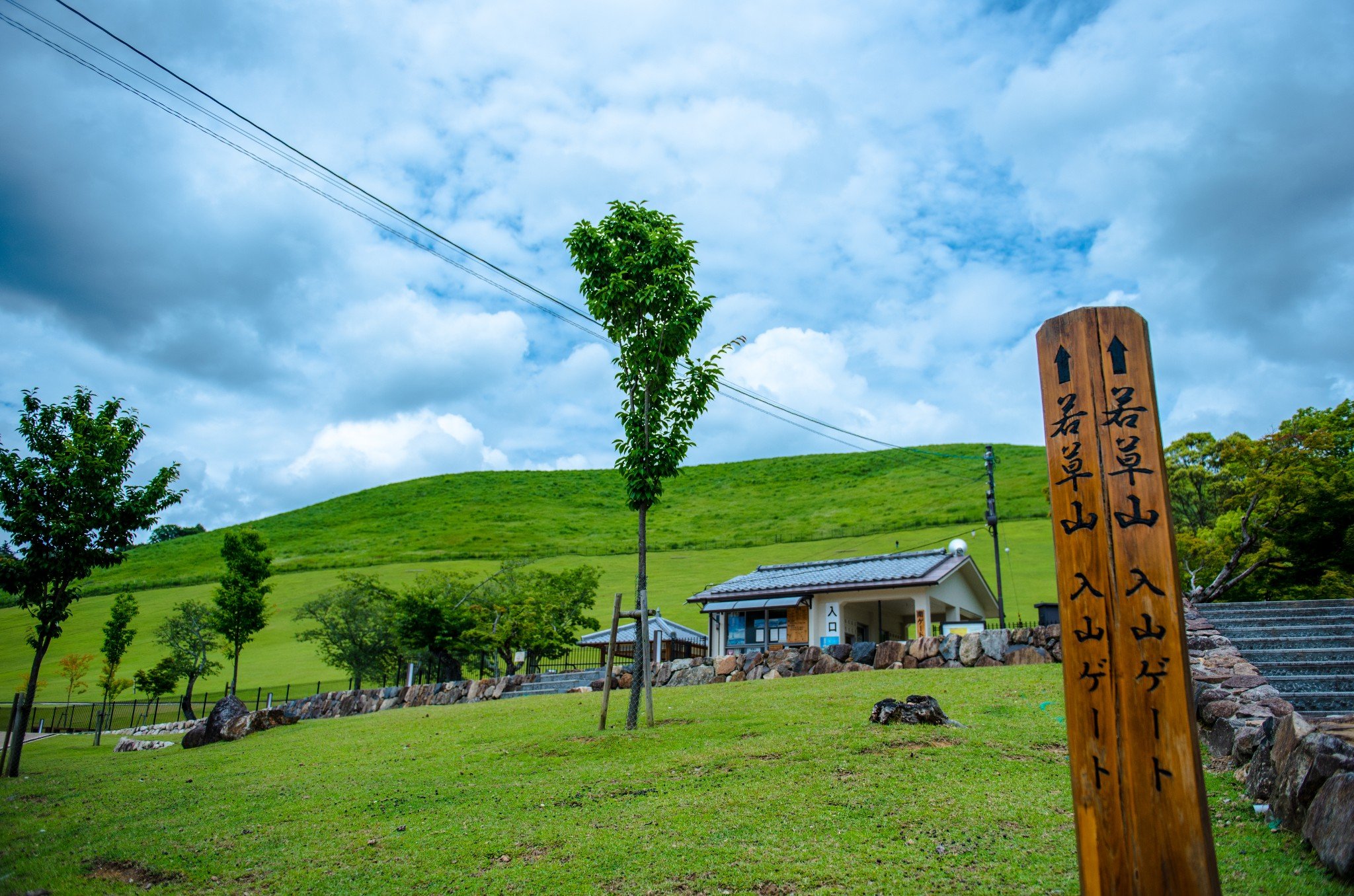 最大的惊喜    若草山,来到奈良,你必定不能错过的地方.