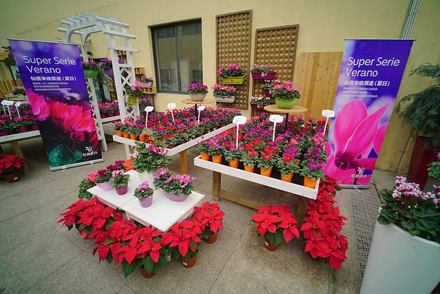 长安花卉科技示范园区