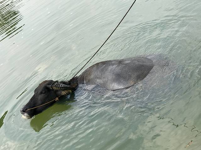 江永上甘棠古村景区