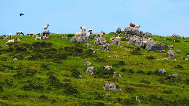 百里荒旅游度假区